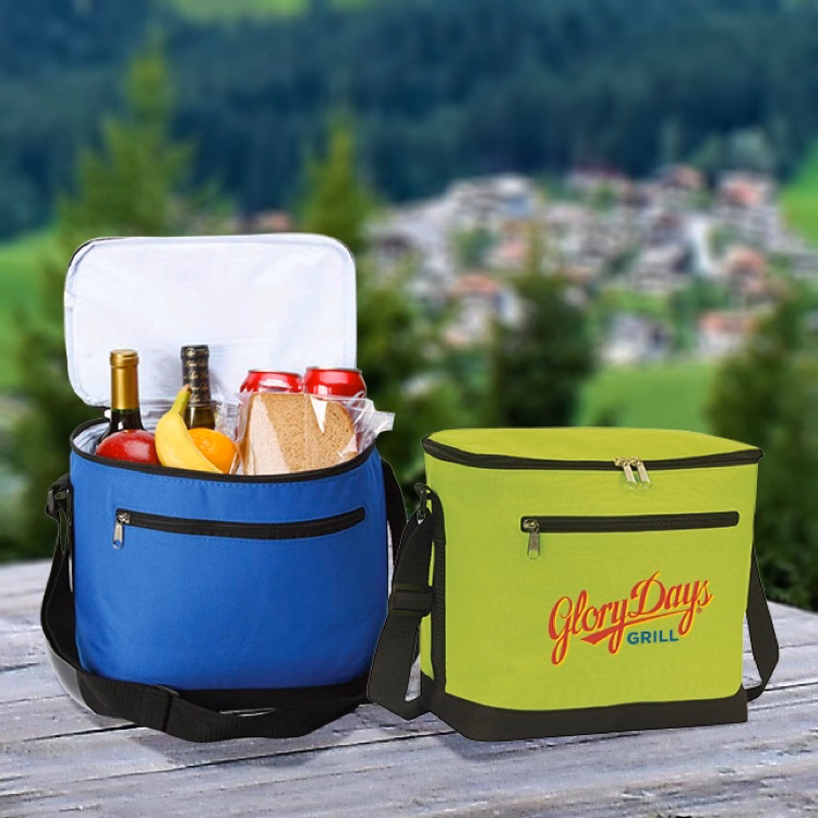 Largo 12-16 Can Picnic Cooler bag