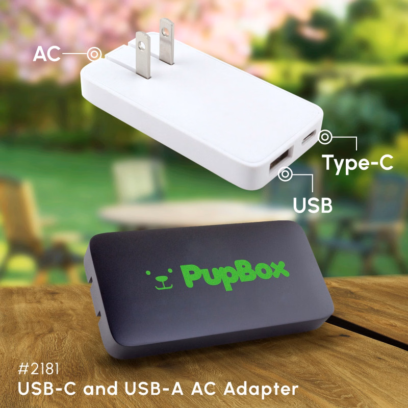 USB-C and USB-A AC Adapter