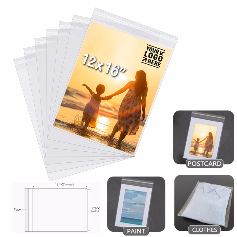 12"x16" Art Print Picture Crystal Sleeves Storage Bag