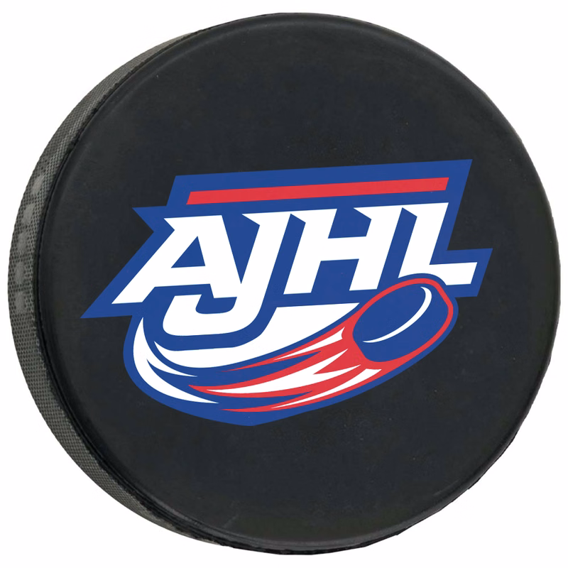 Hockey Puck Official Size