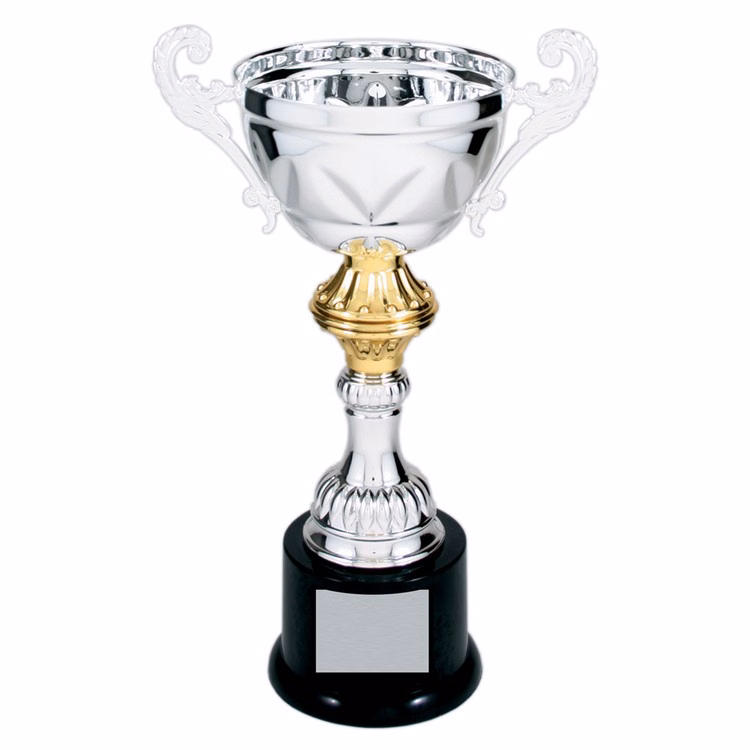 10" Tall Silver Metal Cup Trophy