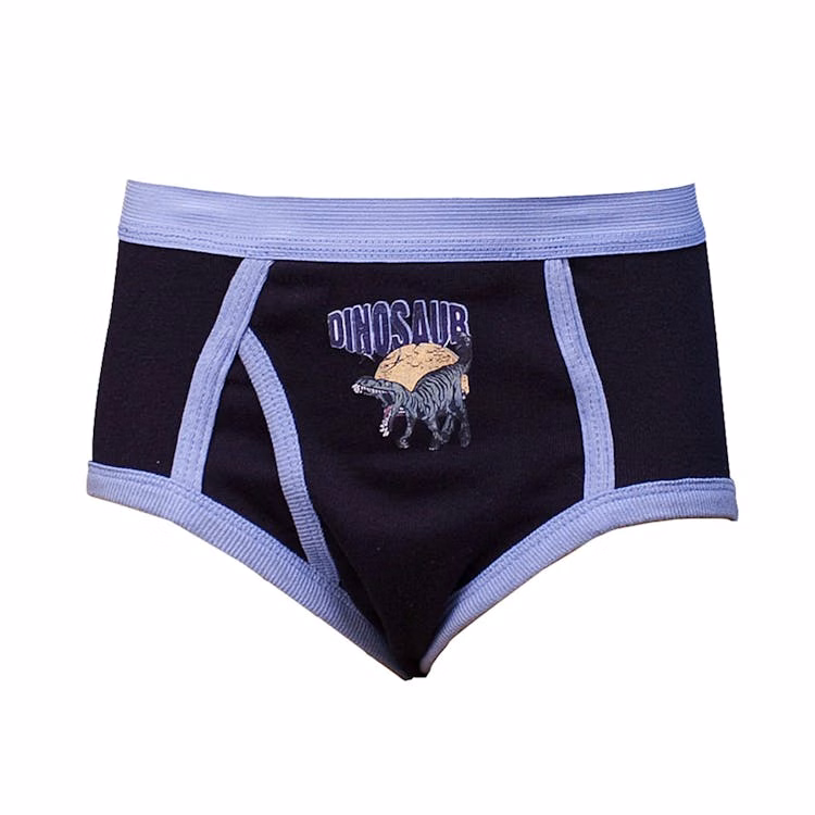 Boys' Cotton Briefs - Large 3 Pack Assorted Colors