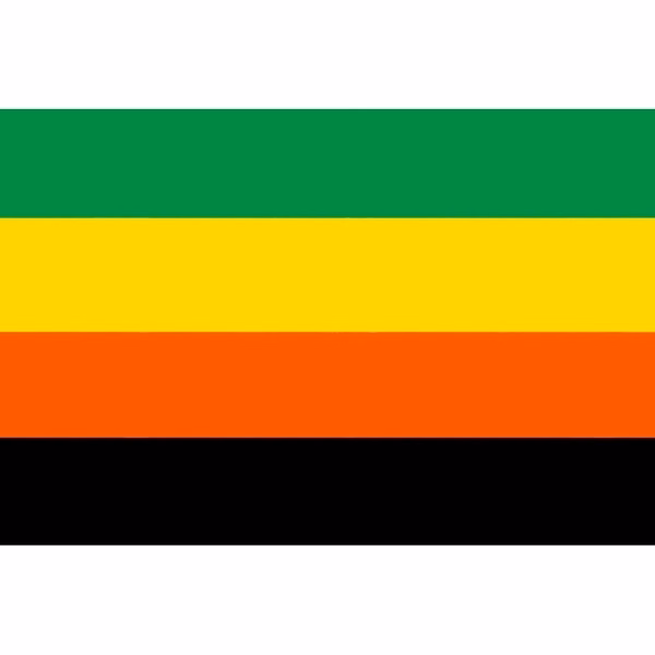 Aromantic Stick Flag