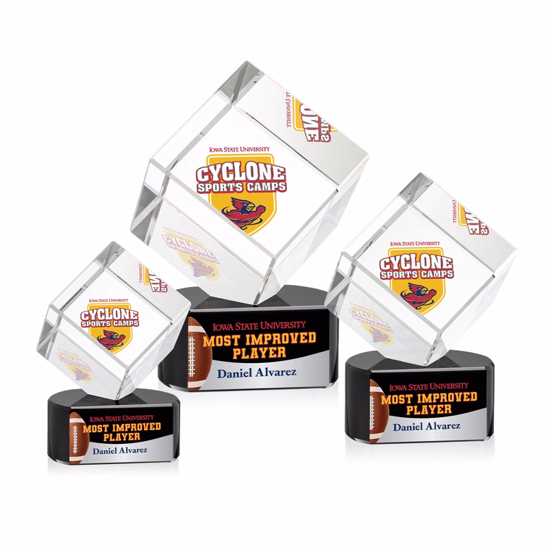 Burrill VividPrint™ Award on Paragon Base - Black