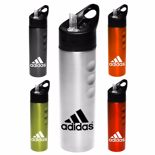 25 oz Slim Stainless Steel Bottle