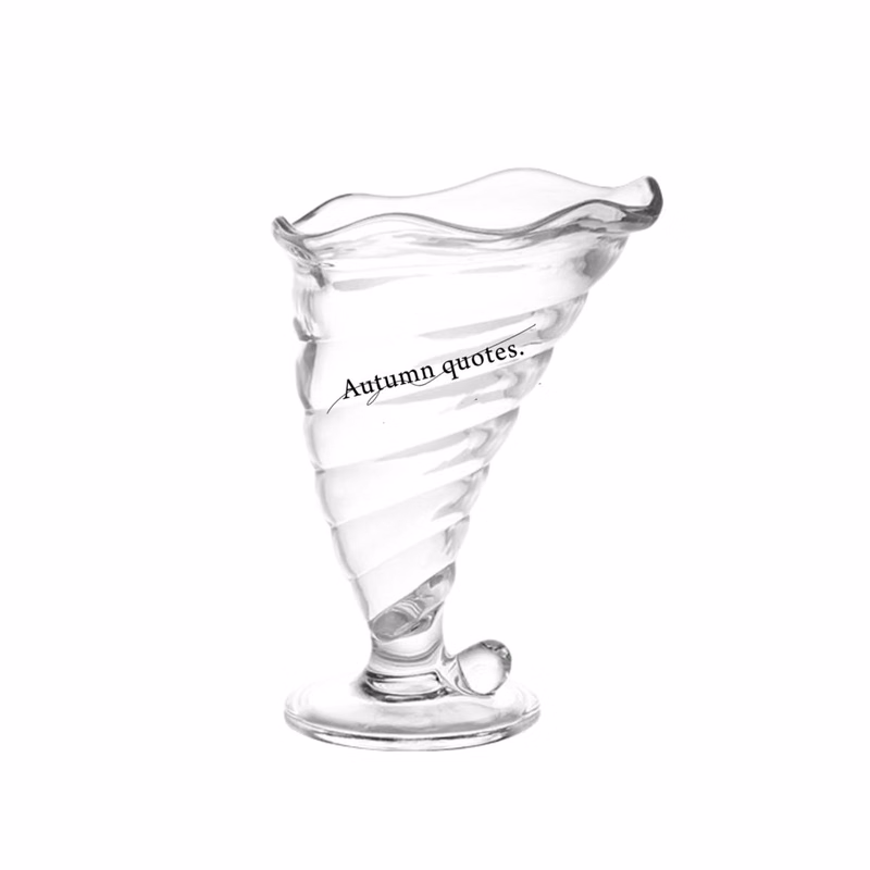 Portable Travel Acrylic Champagne Flute