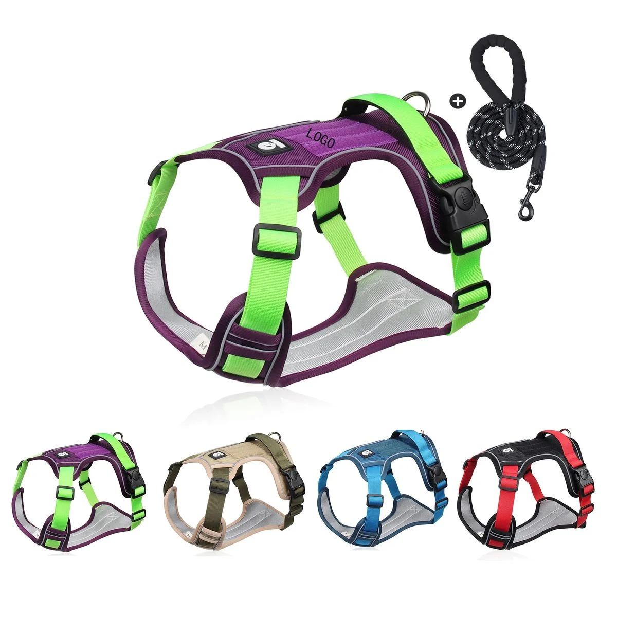 Dog Leash 1