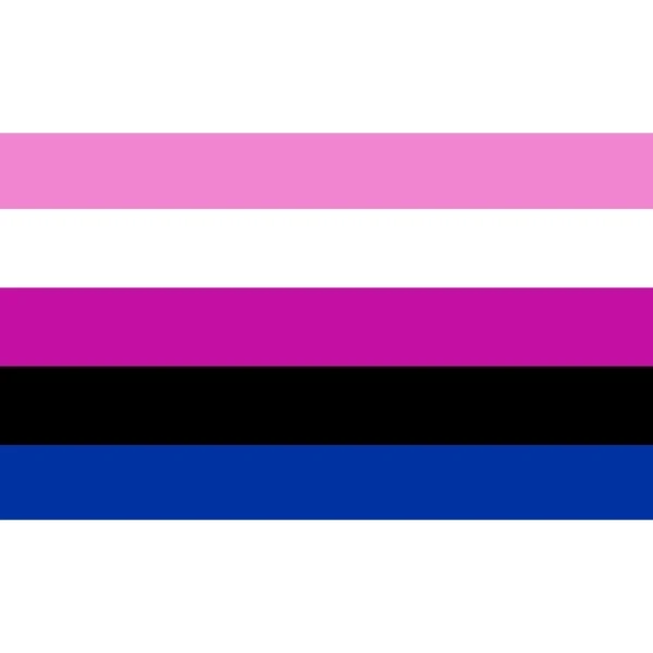 Gender Fluid Flag 1