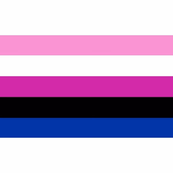 Gender Fluid Flag