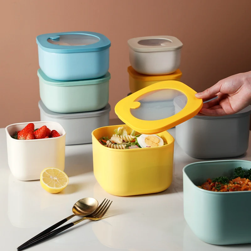 Multicolor lunch box 1