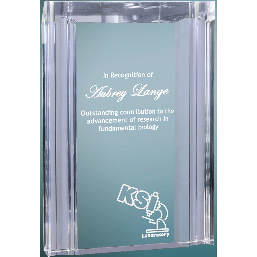 4.75" x 6-1/8" Clear Channel Acrylic Award 1