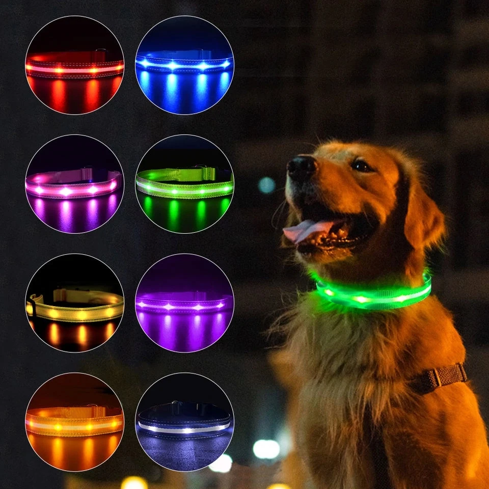 LED Light Up Dog Leash 1