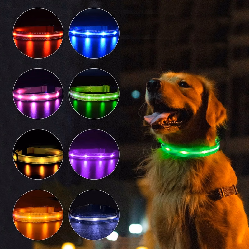 LED Light Up Dog Leash
