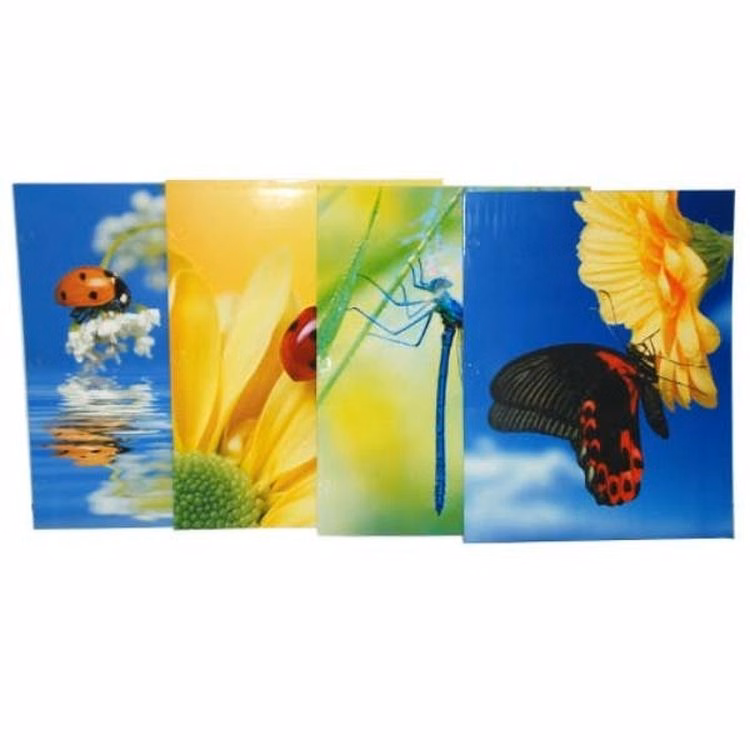 Glossy 2-Pocket Folders - Bugs