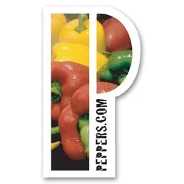 USA Made Premium UV Window Micro-Suction Cling Decal (2"x3.5") Letter P Shape 1