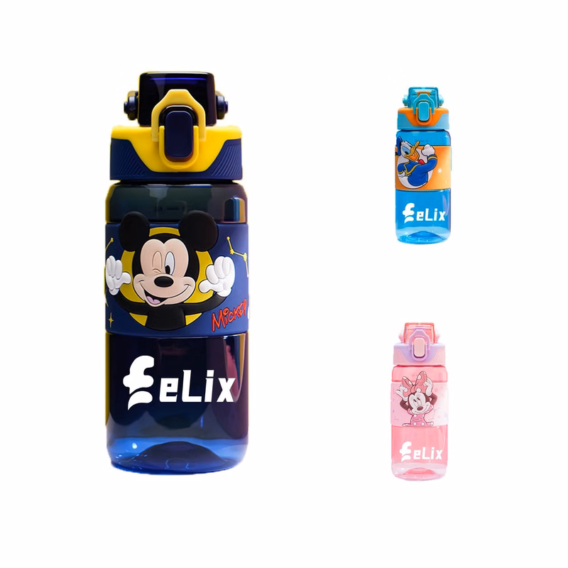 Disney Water Bottle