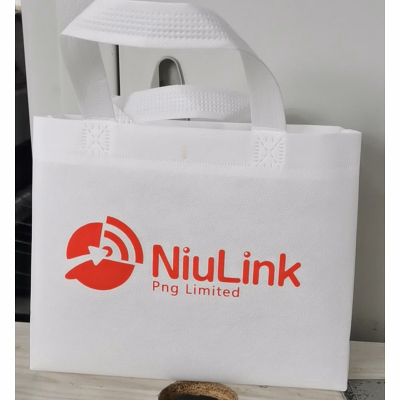 Large Size Non-woven Shopping Bag