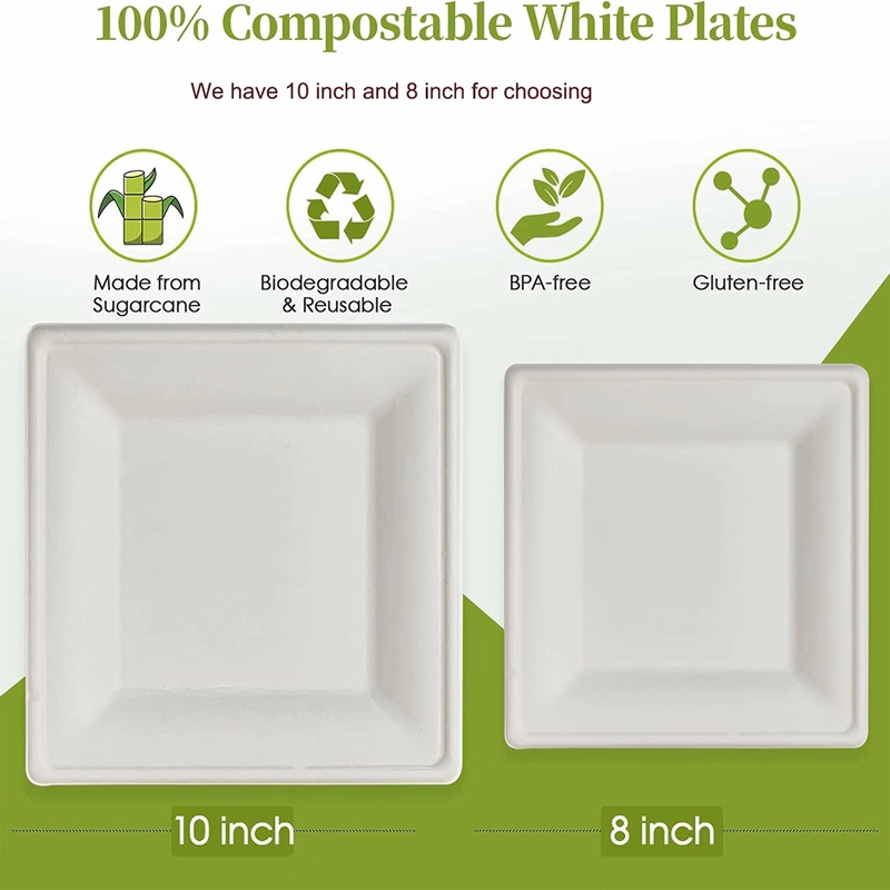Biodegradable Disposable Square Plates