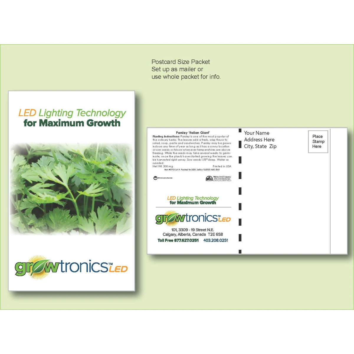 Parsley 'Italian Giant' Herb Seed Packet - Postcard Mailer Size 4" x 6.5" 1