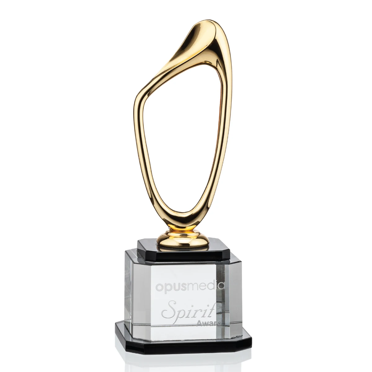 Campen Award 1