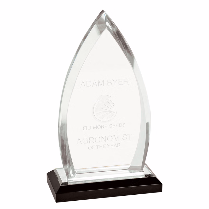 8.75" Silver Oval Impress Acrylic Award
