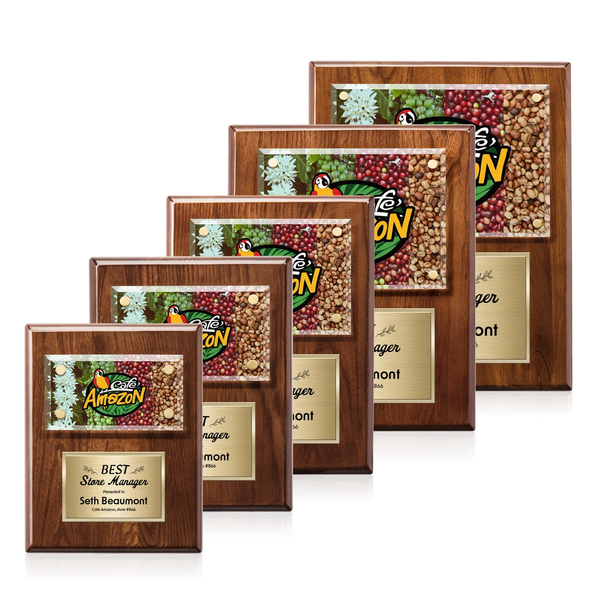 Gossamer VividPrint™ Plaque - Walnut/Gold 1