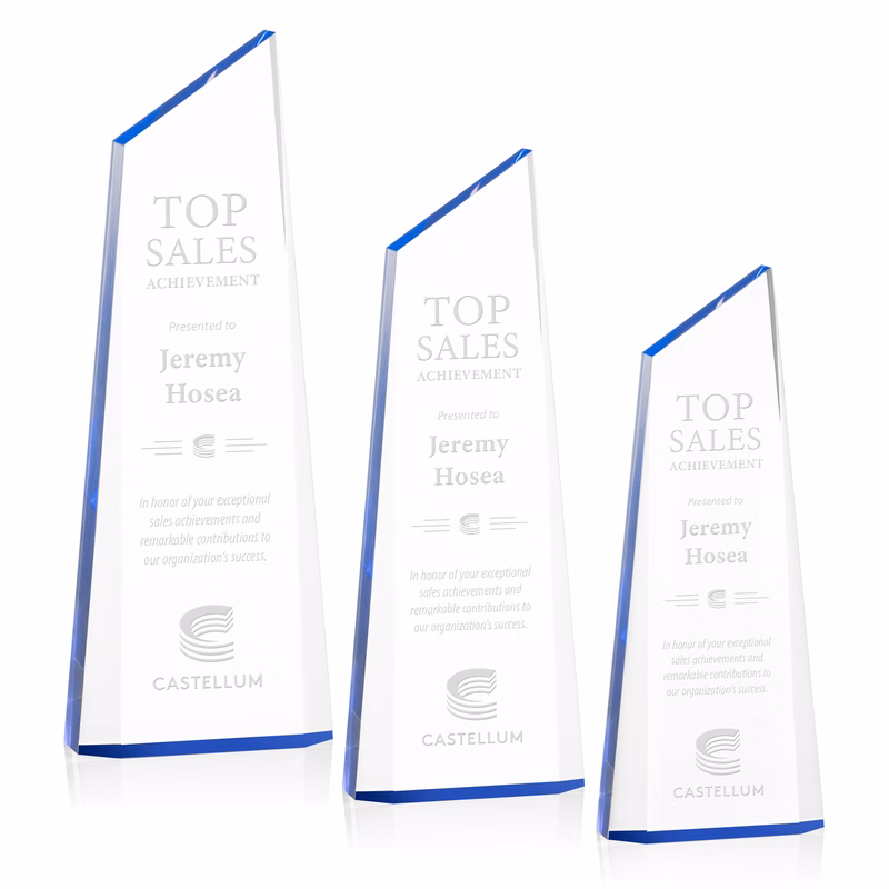 Hudson Award - Blue