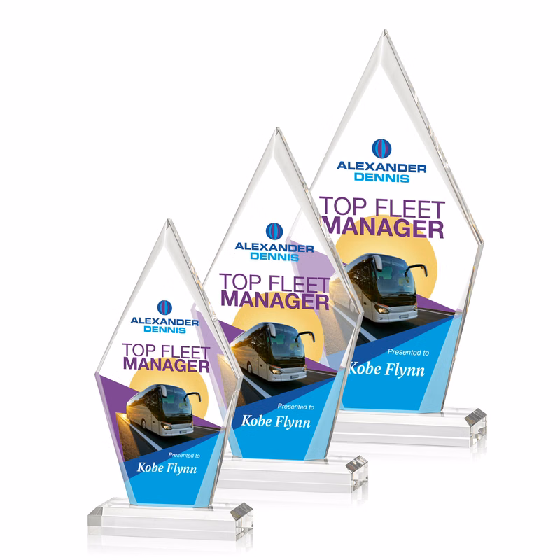 Palmer VividPrint™ Award