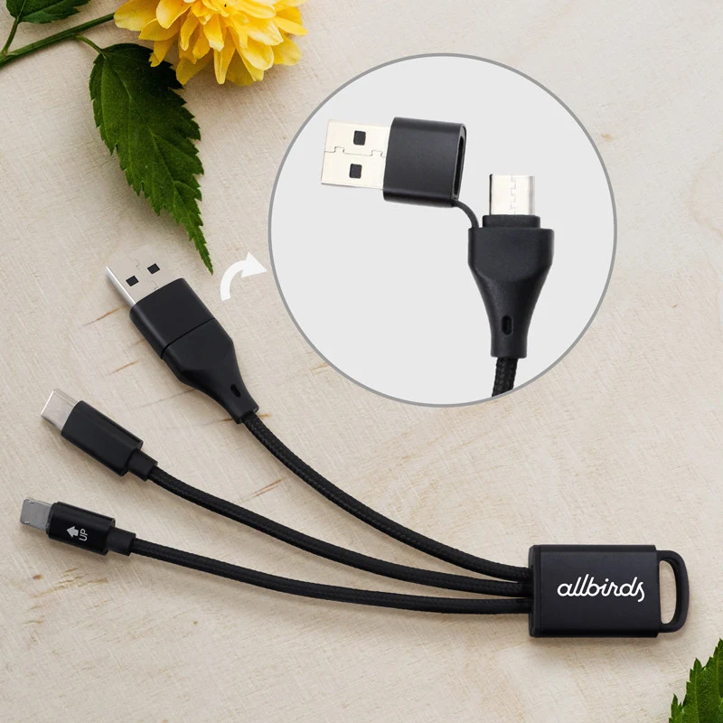 Connect Plus 3-in-1 Charging Cable with Type-C Input 1