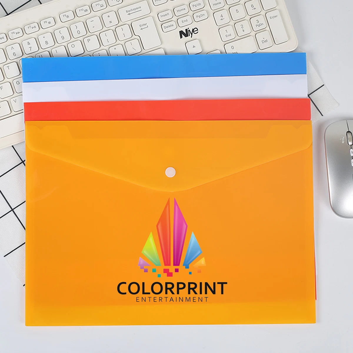 MOQ100 Waterproof Plastic File Folder 1