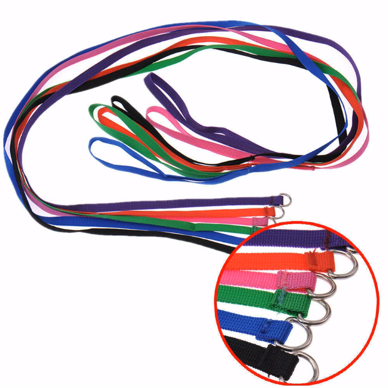 4' Nylon Pet Leash