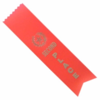 Second Place Ribbon 2" x 8"