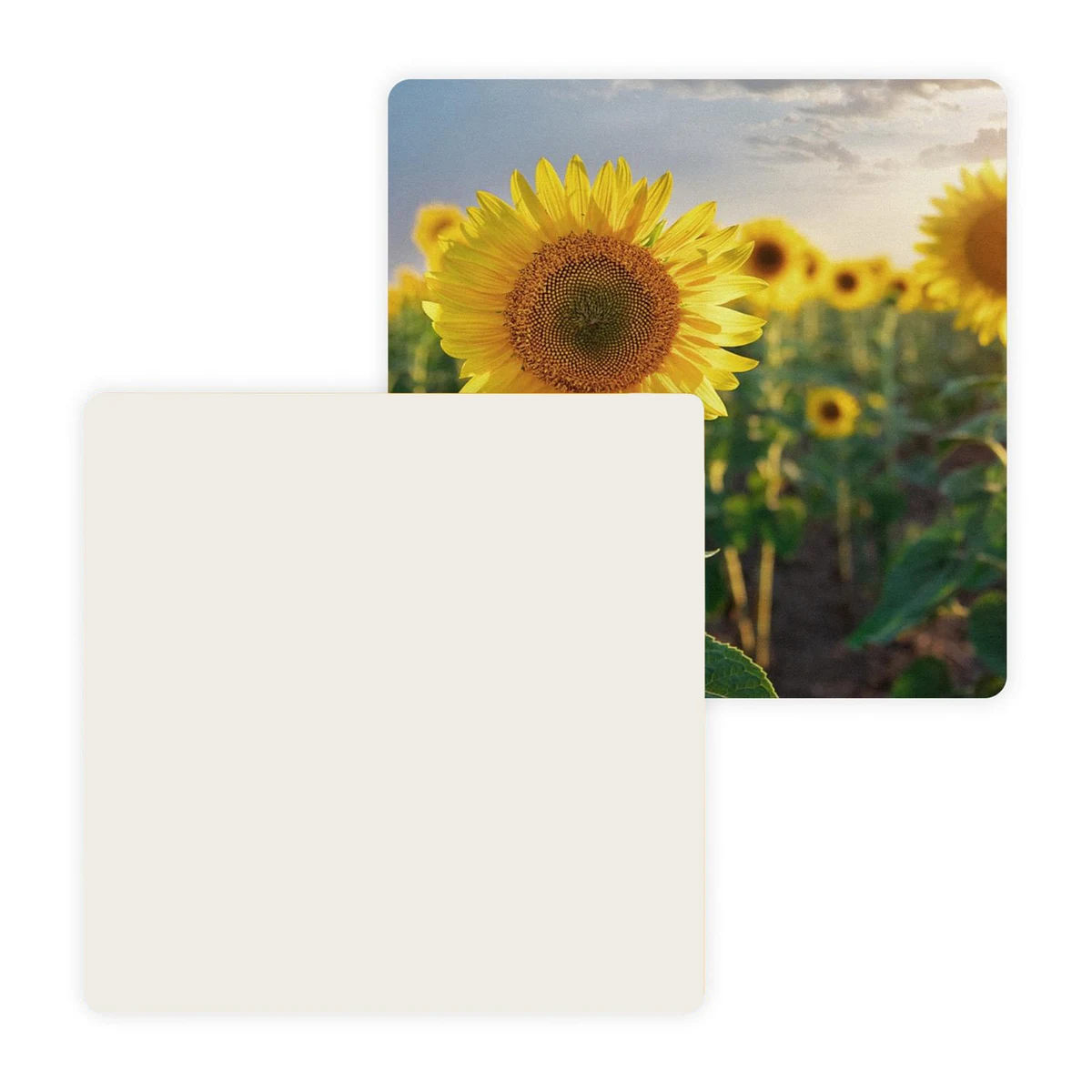 4" Pulpboard Square Coaster (Full Color on 1 Side) 1