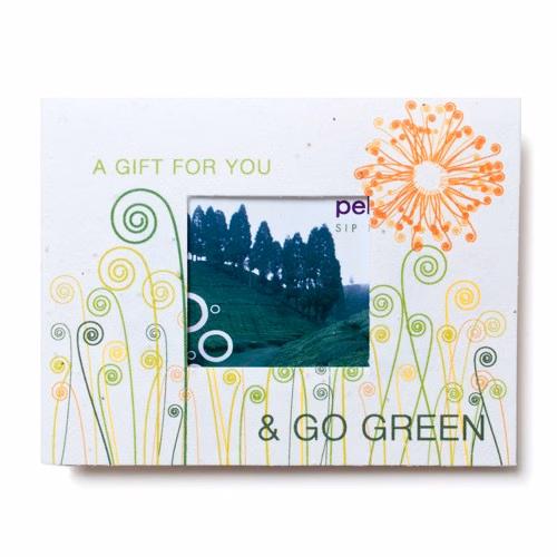 Window Gift Card Holder