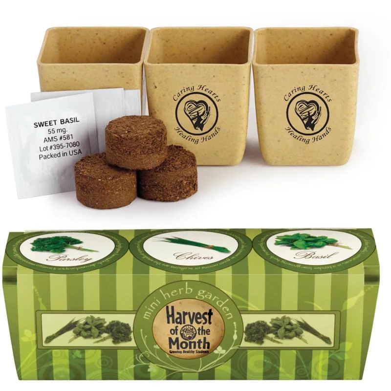 GrowPot Eco-Planter Herb 3-Pack 1