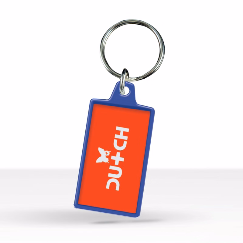 Colorized Key Chain