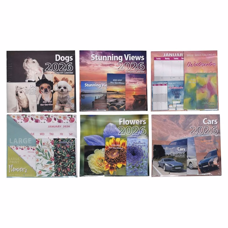 2026 Calendar Set - 4 Pack Assorted Designs
