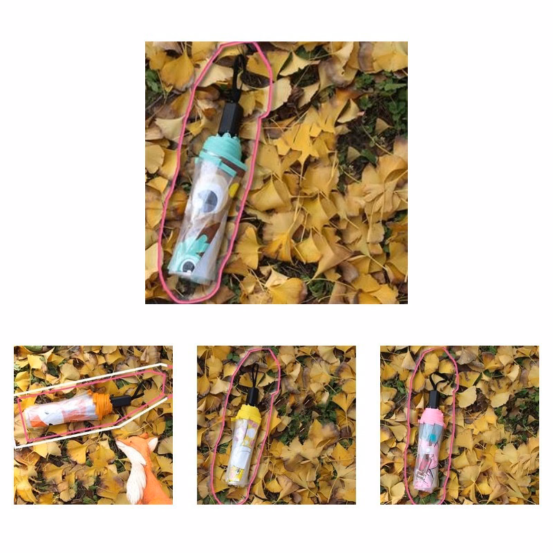 Transparent Tri-fold Umbrella