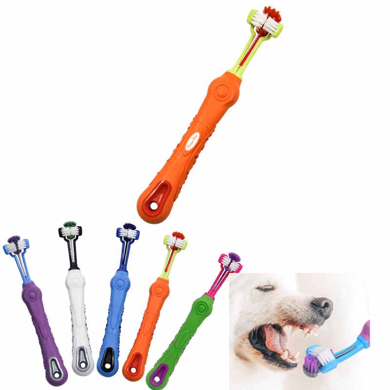 Pet Toothbrush for Promoting Healthy Teeth and Gums