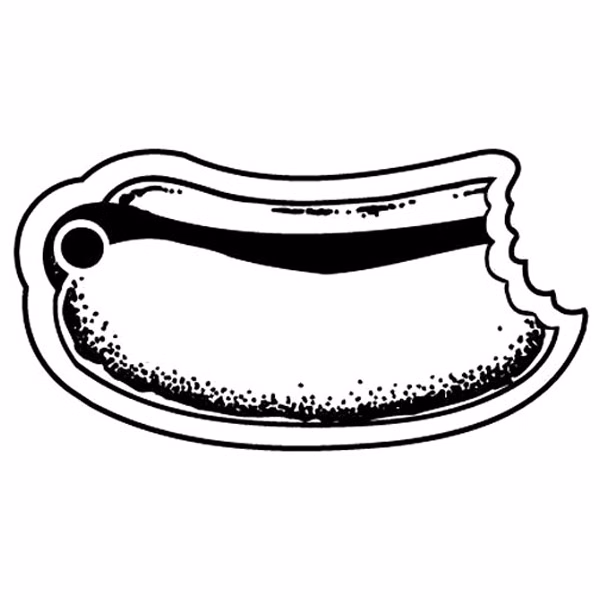 Hot Dog w/Bite Taken Key Tag - Spot Color