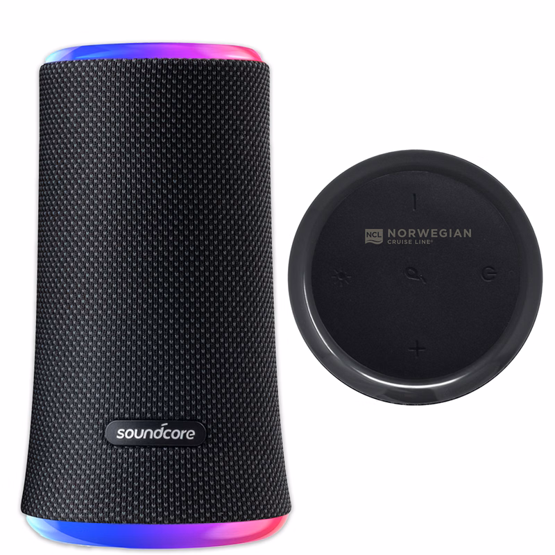 Soundcore Flare 2
