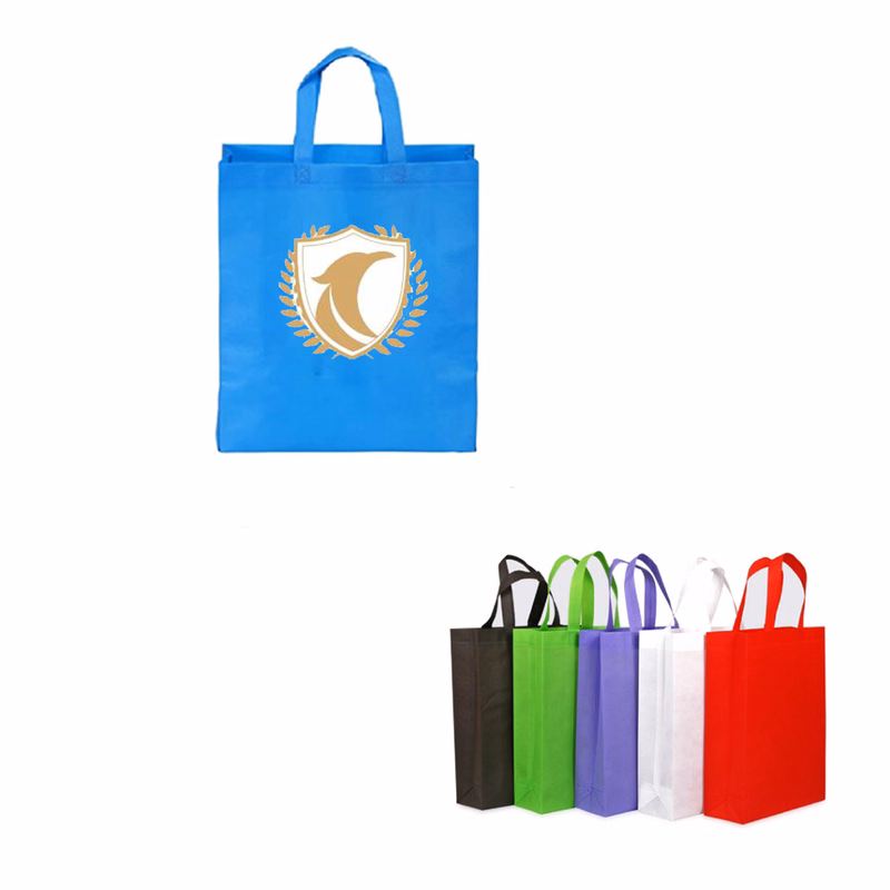 Small Non-Woven Handle Bag