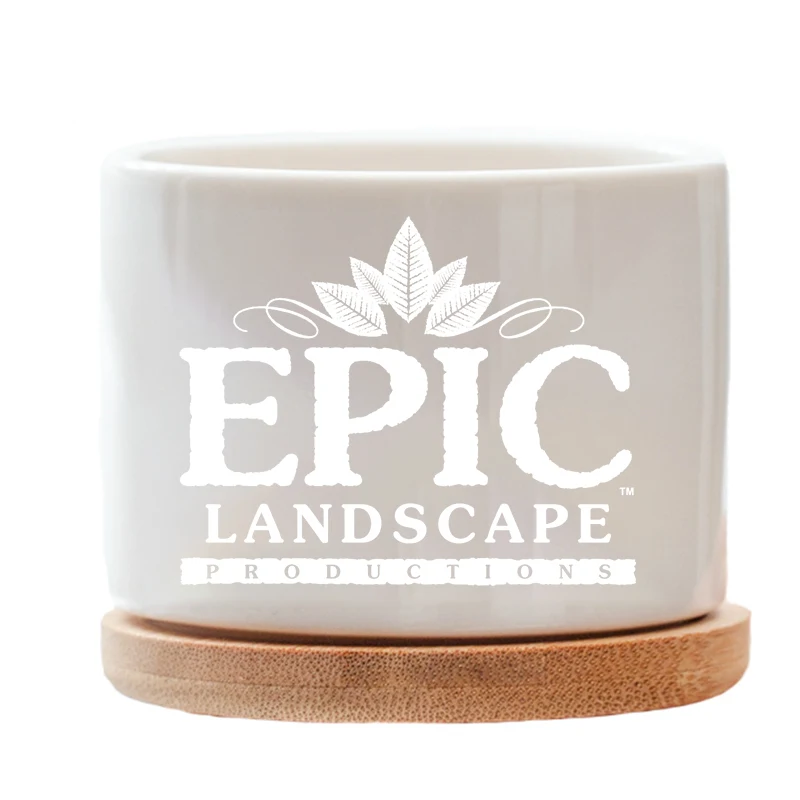 Super Cute Ceramic Plant Pots 1