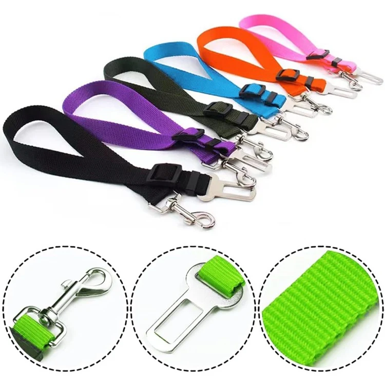 Medium and Large Dog Traction Rope 1