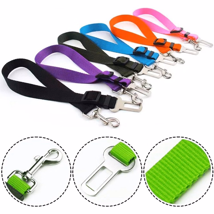 Medium and Large Dog Traction Rope