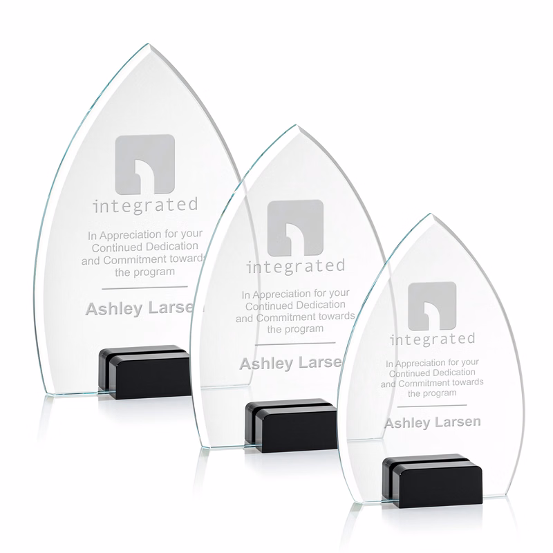 Aylin Award - Black