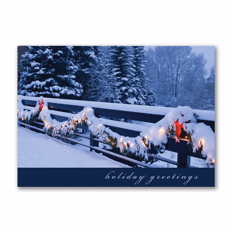 Brilliant Bunting Holiday Card