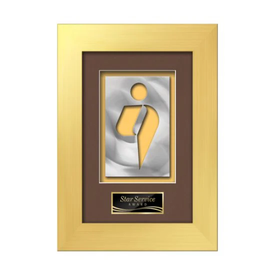 Premier Aquashape™ Award - Gold 1