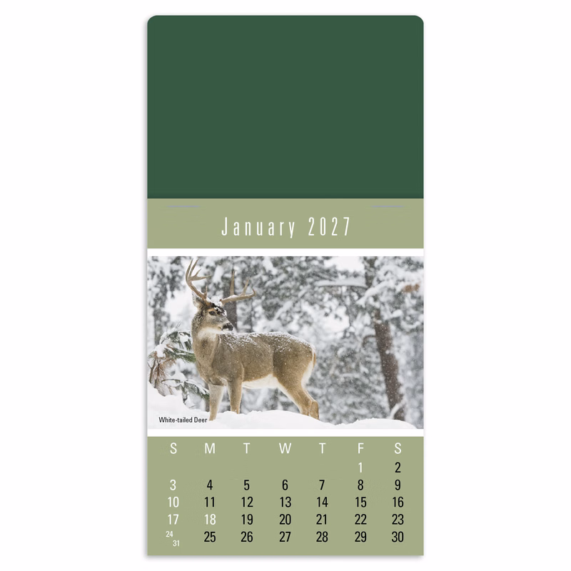Triumph® Calendars Press-N-Stick Sportsmen Calendar