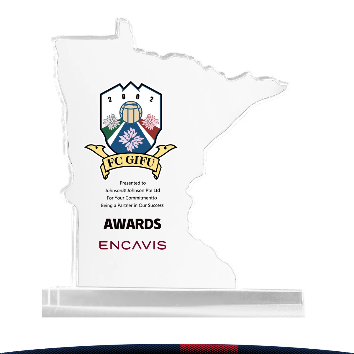 Delue Minnesota Crystal Award 1